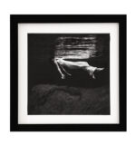 kunstbillede i sort og hvid firkantet foto i ramme. kunstbilleder i sorte firkantede rammer