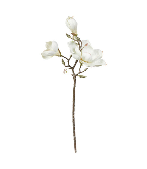 Kunstig Magnolia gren hvid H70cmtsberg
