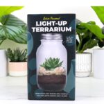 solcelle plante terrarium med lys som gave til pige eller dreng eller naturelsker