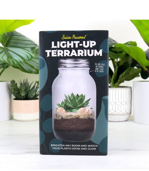 solcelle plante terrarium